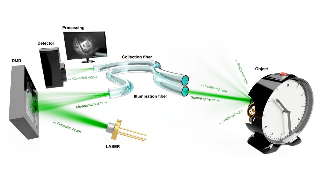 A sequence of holograms displayed by a digital micromirror device spatially shapes the wavefronts coupled into a multimode optical fiber in such a way that a far-field focus scans the distal field of view. CREDIT: Tomas Cizmar