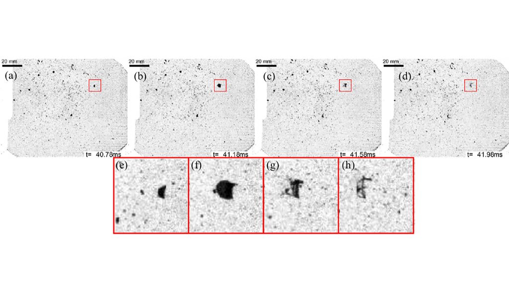 Induced droplet bag breakup at ~40 milliseconds after bullet impact due to muzzle gas influence. Time instants are shown in a-d, depicting the global backspatter with a magnified view of an individual breakup sequence shown in e-h. CREDIT: Gen Li, Nathaniel Sliefert, James B. Michael, and Alexander L. Yarin