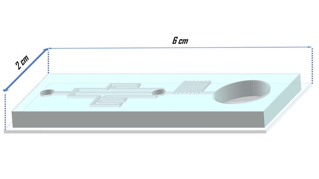 Schematic of the designed and fabricated microfluidic platform for gradual cryoprotectant loading in the embryo vitrification process. CREDIT: Pouria Tirgar, Fatemah Sarmadi, Mojgan Najafi, Parinaz Kazemi, Sina AzizMohseni, Samaneh Fayazi, Ghazaleh Zandi, Nikta Ziaie, Aida Shoushtari Zadeh Naseri, Allen Ehrlicher, and Mojtaba Dashtizad