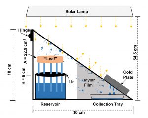 Synthetic Tree Enhances Solar Steam Generation for Harvesting Drinking Water 