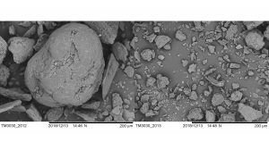 Enteromorpha with and without pretreatment using NaOH-urea