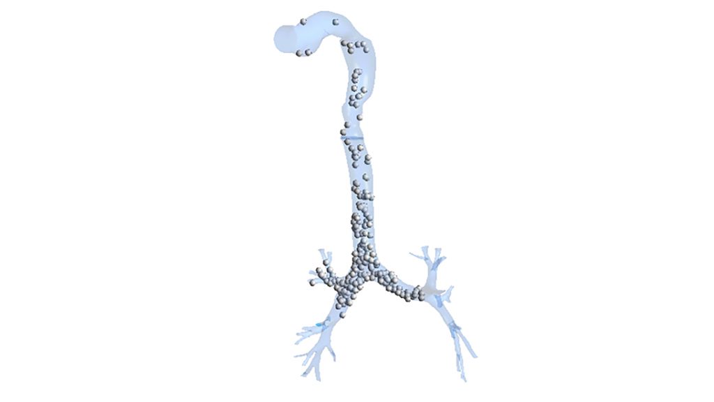 The computational evaluation shows a spatial distribution of single micron-sized drug particles in human respiratory tract at three seconds. CREDIT: Akshoy R. Paul 