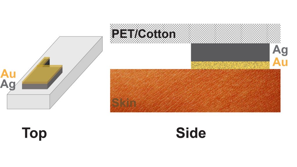 A diagram of the bioelectrical sensor, showing the gold (Au) and silver (Ag) layers attached to fabric and making good contact with the skin. CREDIT: Taehwan Lim