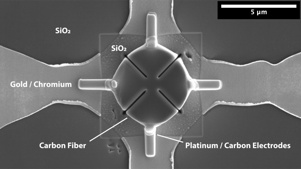 The slice of carbon fiber in the microelectric circuit is electrically connected to the gold/chromium electrodes with platinum/carbon electrodes. CREDIT: Satoshi Matsuo and Nancy R. Sottos