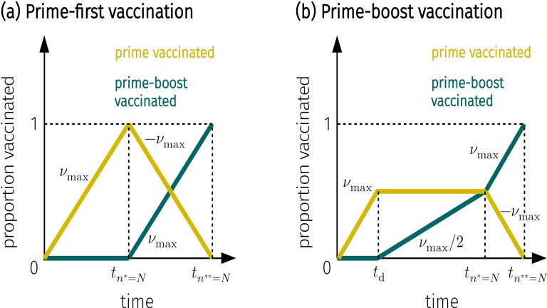 Newswise: COVID-19 Vaccination Strategies: When Is One Dose Better Than Two?