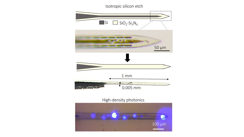 Thin and flexible glass-nitride probes fabricated from silicon substrates integrate electrode arrays and high-density photonics for neural readout and stimulation. CREDIT: Vittorino Lanzio