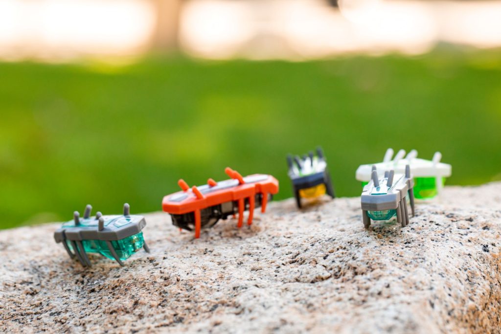 Hexbug Nanos used in online lab course to teach undergraduate research skills in physics. CREDIT: Kristopher Vargas, Pomona College