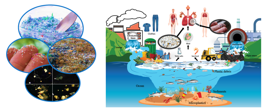 Microplastic pollution and impacts on health. Credit: Islam et al.