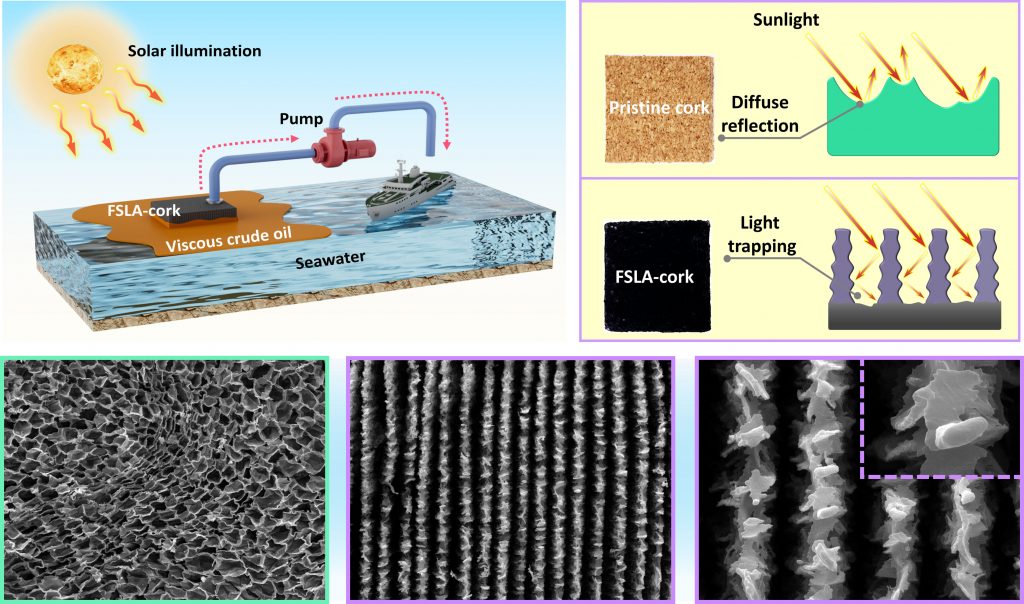 To remove oil from water, the authors used cork treated by a fast-pulsing laser method that removes some oxygen from the material, increasing the relative carbon and making it more water-repelling and oil-attracting. Laser treatment also alters the structure of the cork: When viewed at the nanoscopic level, the material has deep grooves, which increase the total surface area of the cork and allow it to trap sunlight and warm the oil, making the oil easier to collect. Credit: Yuchun He