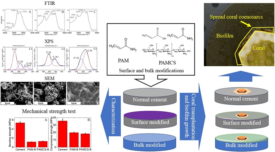 In this paper, a pilot type of cement-based composite materials (CCM) was proposed and prepared by using Portland cement as the substrate, polyacrylamide (PAM) and chitosan (CS) as the functional components. Credit: Zhao et al.