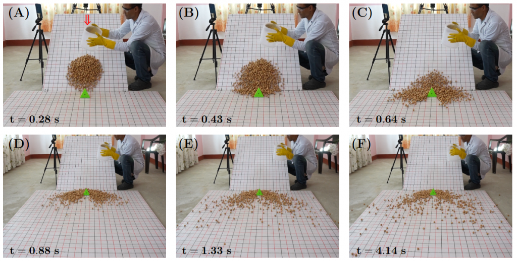 Sliding Champatis, the seeds of the Lapsi tree, can provide insight into devastating landslides and rock avalanches. Credit: Pudasaini et al.