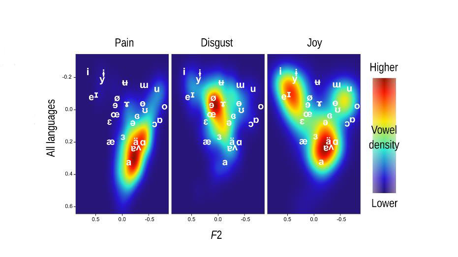 Vowel density maps reveal that distinct vowel spaces for vocalizations of pain, disgust, and joy remain consistent across languages. Credit: Ponsonnet et al.