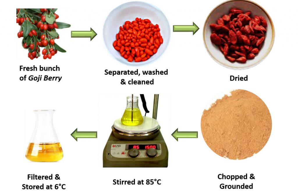 An illustration of the preparation of goji berries for silver nanoparticle synthesis. Credit: Kamran Alam et al.