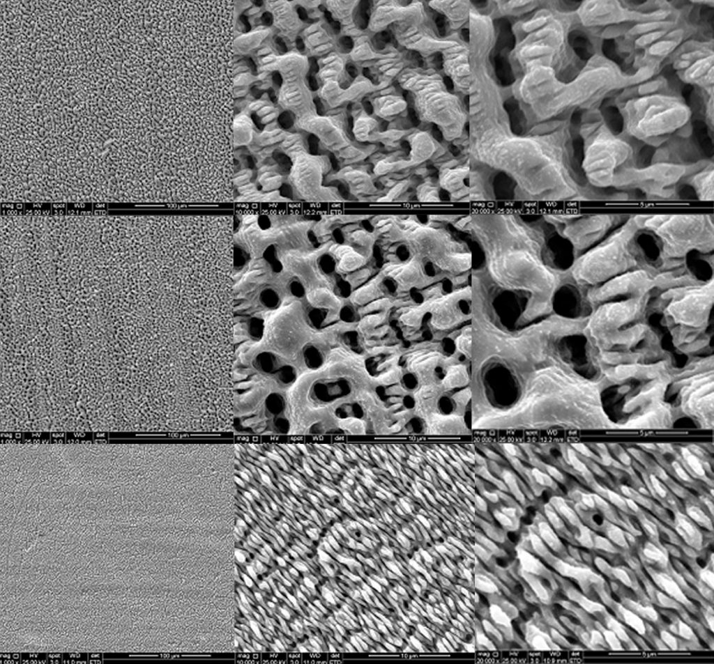 Inspired by the naturally antimicrobial textures of cicada wings and shark skin, micro- and nanoscale textures at the scale of bacterial cells make it difficult for bacteria to attach. They also change the water-repellent properties of the surface, a key factor for bacterial growth. Credit: Sebastiampillai Raymond