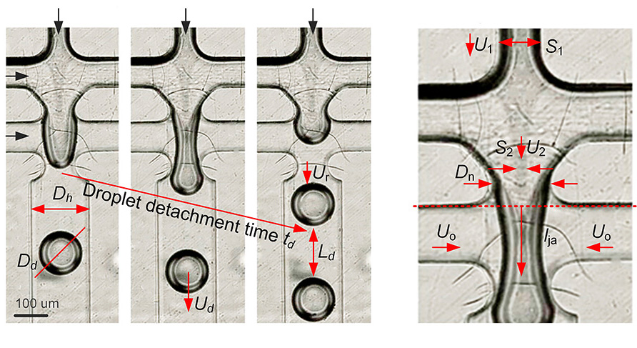 The process of the formation of the droplets as they detach from the fluid jets. Credit: Piskunov et al.
