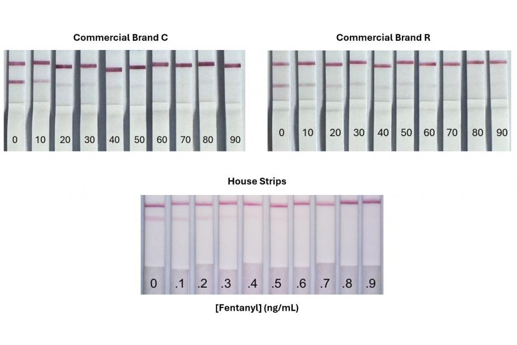 The researchers’ optimizations led to increased sensitivity by a factor of about 100 in their house-made fentanyl test strips, compared to commercial strips. Credit: Lin et al.