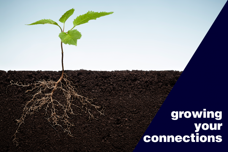 A young plant with expanding roots with the words 'growing your connections' in a blue triangle in the lower right corner